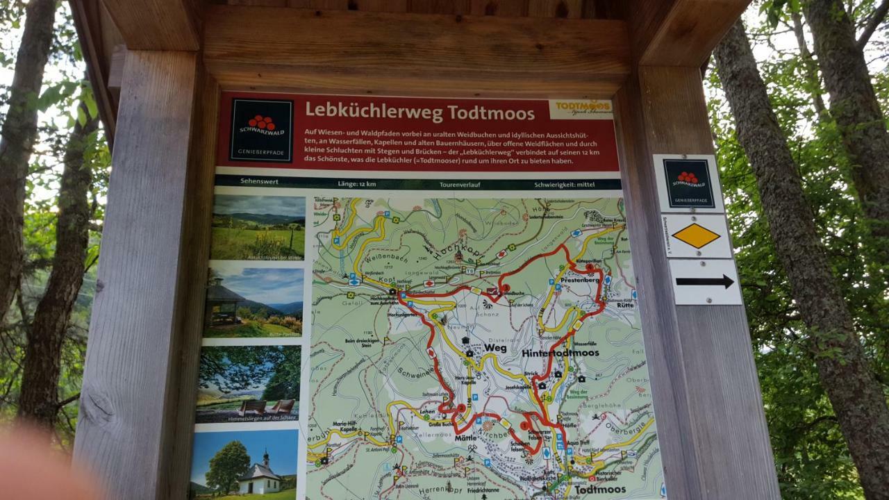 Ferienwohnung Im Schwarzwald Todtmoos Kültér fotó