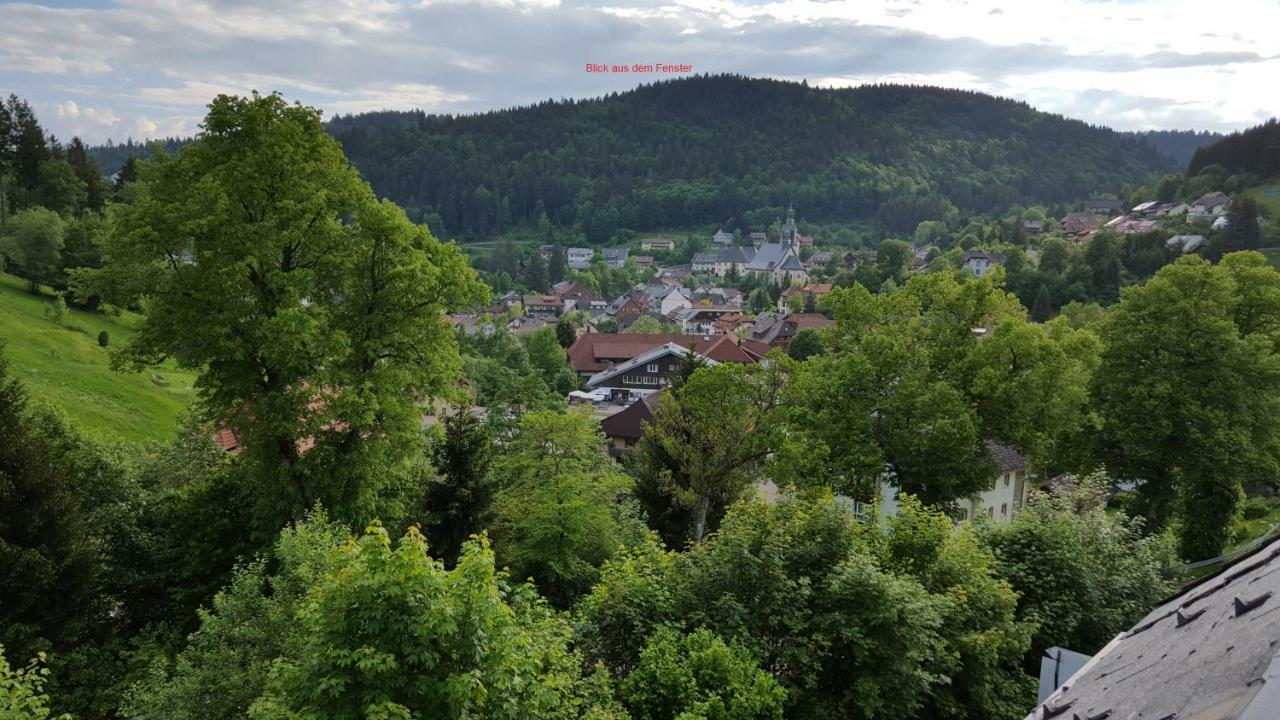 Ferienwohnung Im Schwarzwald Todtmoos Kültér fotó