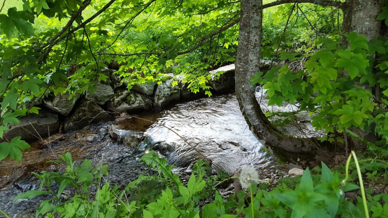 Ferienwohnung Im Schwarzwald Todtmoos Kültér fotó